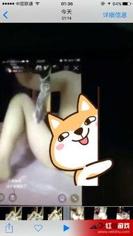 黄鳝门哪里能在线观看,揭秘网络热点的在线观看指南  第2张