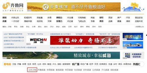 山东新闻爆料,聚焦民生热点，揭示社会现象  第2张